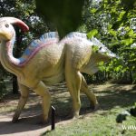 zoo, dinozaury, odnowione figury (4)