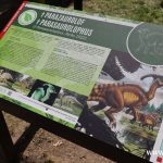 zoo, dinozaury, odnowione figury (5)