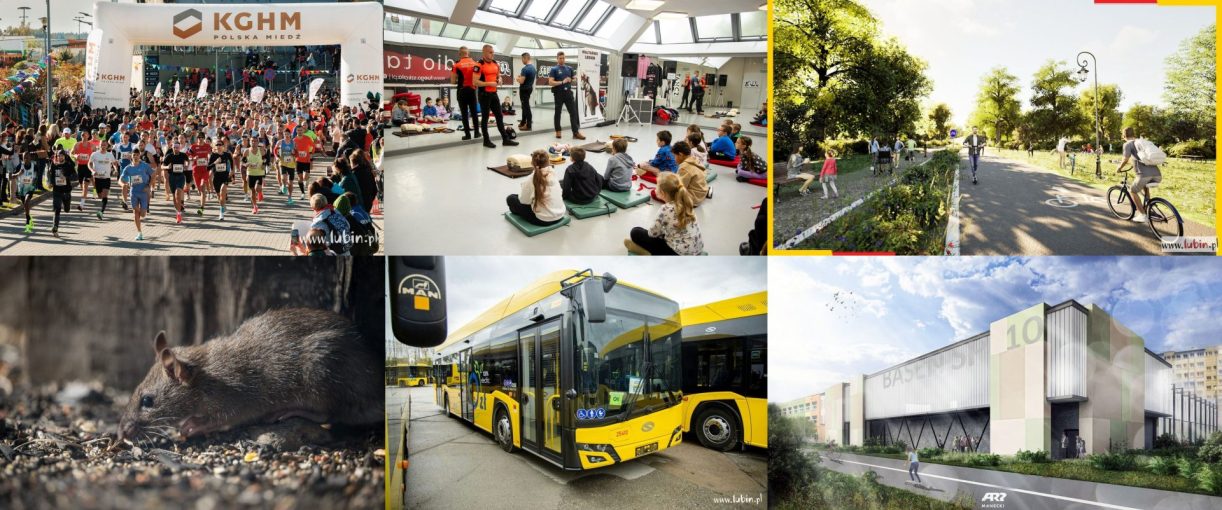 Podsumowanie wydarzeń tygodnia