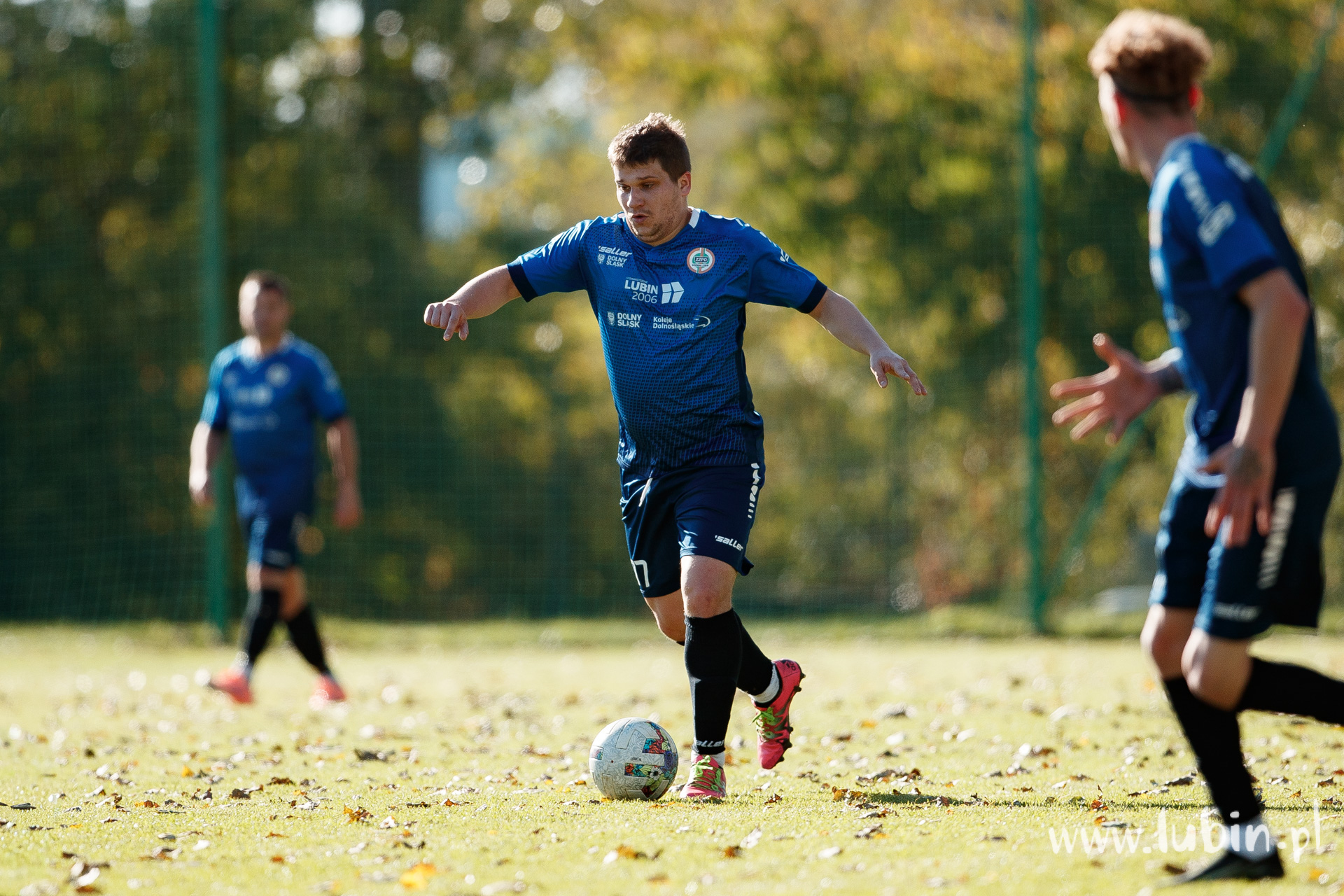 Platan ścięty przez Górników