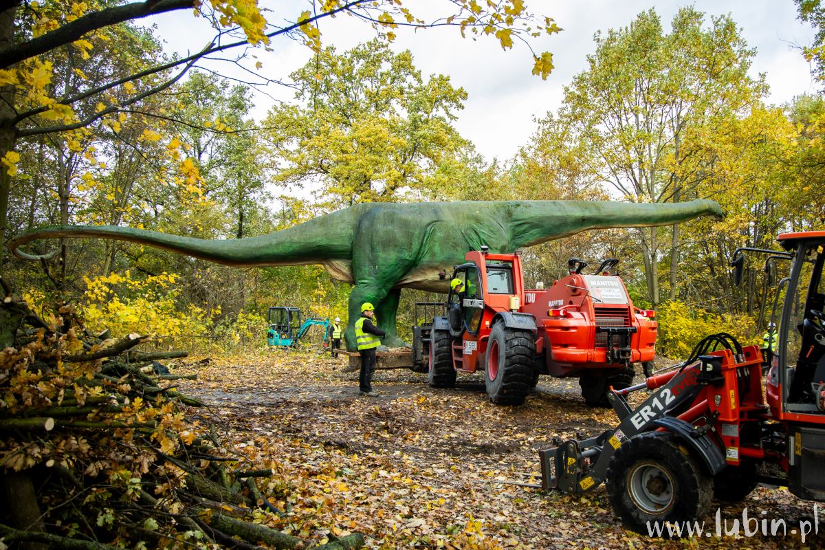 Po 12 latach dinozaur zmienił pozycję