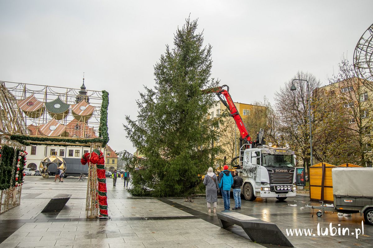 Jest i ona – w rynku stoi już choinka