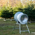 choinki, błonie (1)