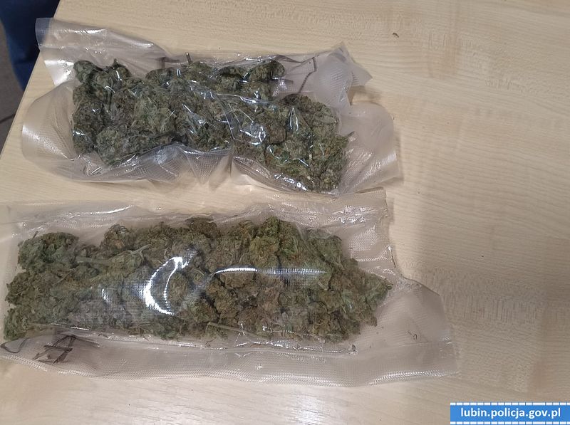 Zamiast kota narkotyki…