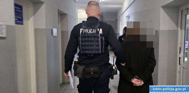 19 osób zatrzymanych przez policję