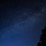 pexels-dzikilechu-4504714