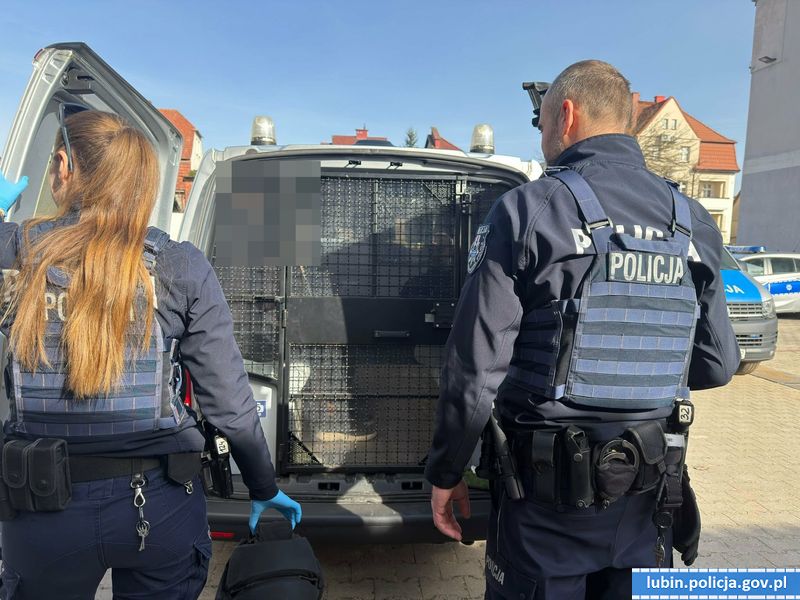 Seryjny złodziej zatrzymany