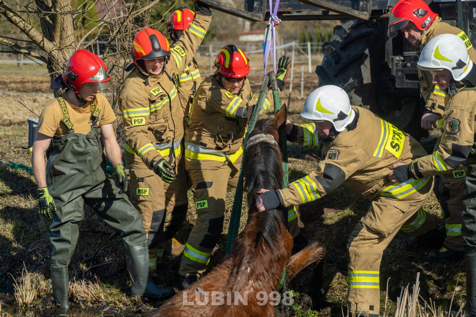 Strażacy uratowali konia
