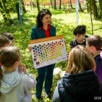 pasieka w zoo, ule (19)