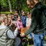 pasieka w zoo, ule (29)