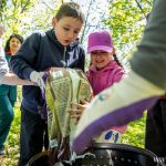 pasieka w zoo, ule (33)