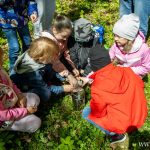 pasieka w zoo, ule (36)