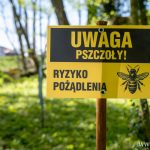 pasieka w zoo, ule (9)