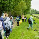 sprzątanie Zimnicy (18)