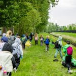 sprzątanie Zimnicy (19)