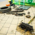 sprzątanie Zimnicy (6)