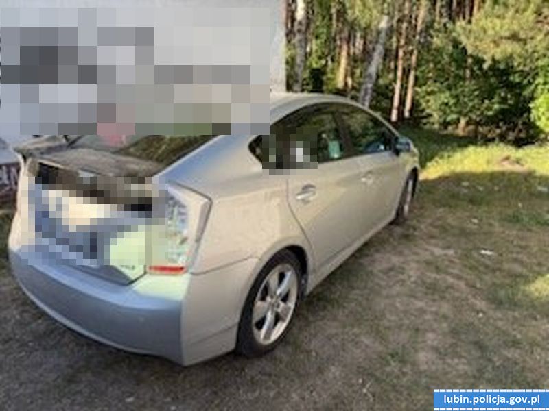 Ukradli klocki i bieliznę, trafili do policyjnej celi