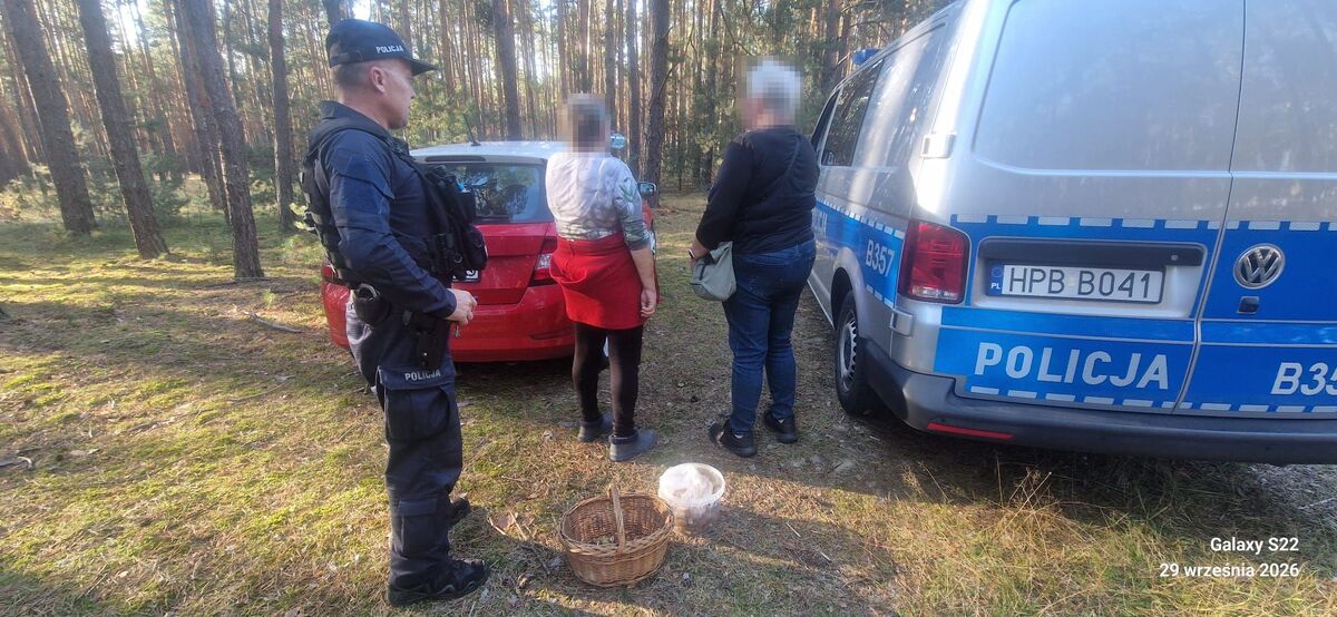 71-latka z Lubina zgubiła się na grzybach