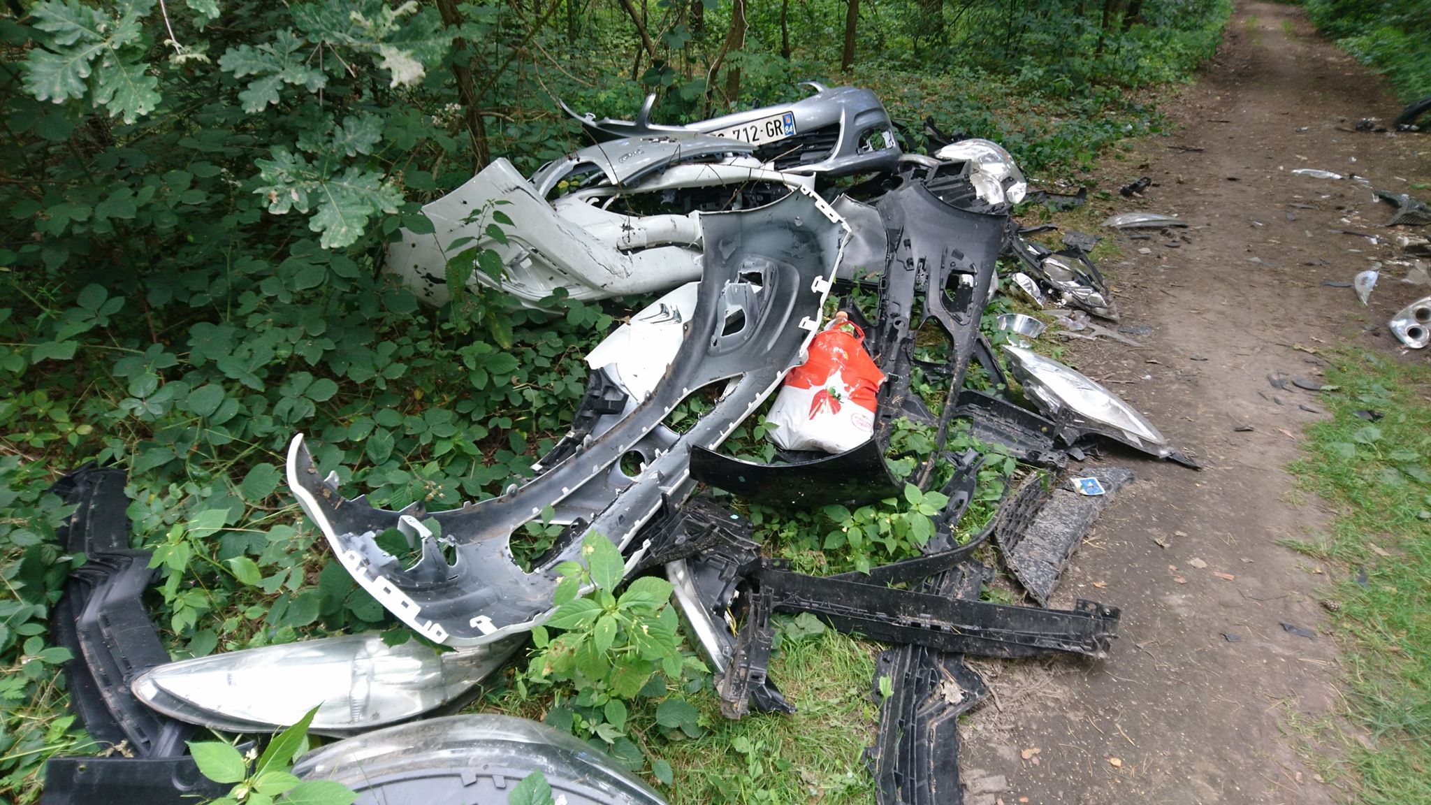 Z lasów zrobili sobie… wysypiska śmieci