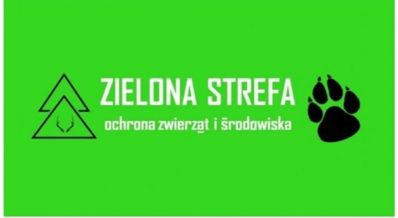 Zielona strefa – nie bądź obojętny na krzywdę zwierząt