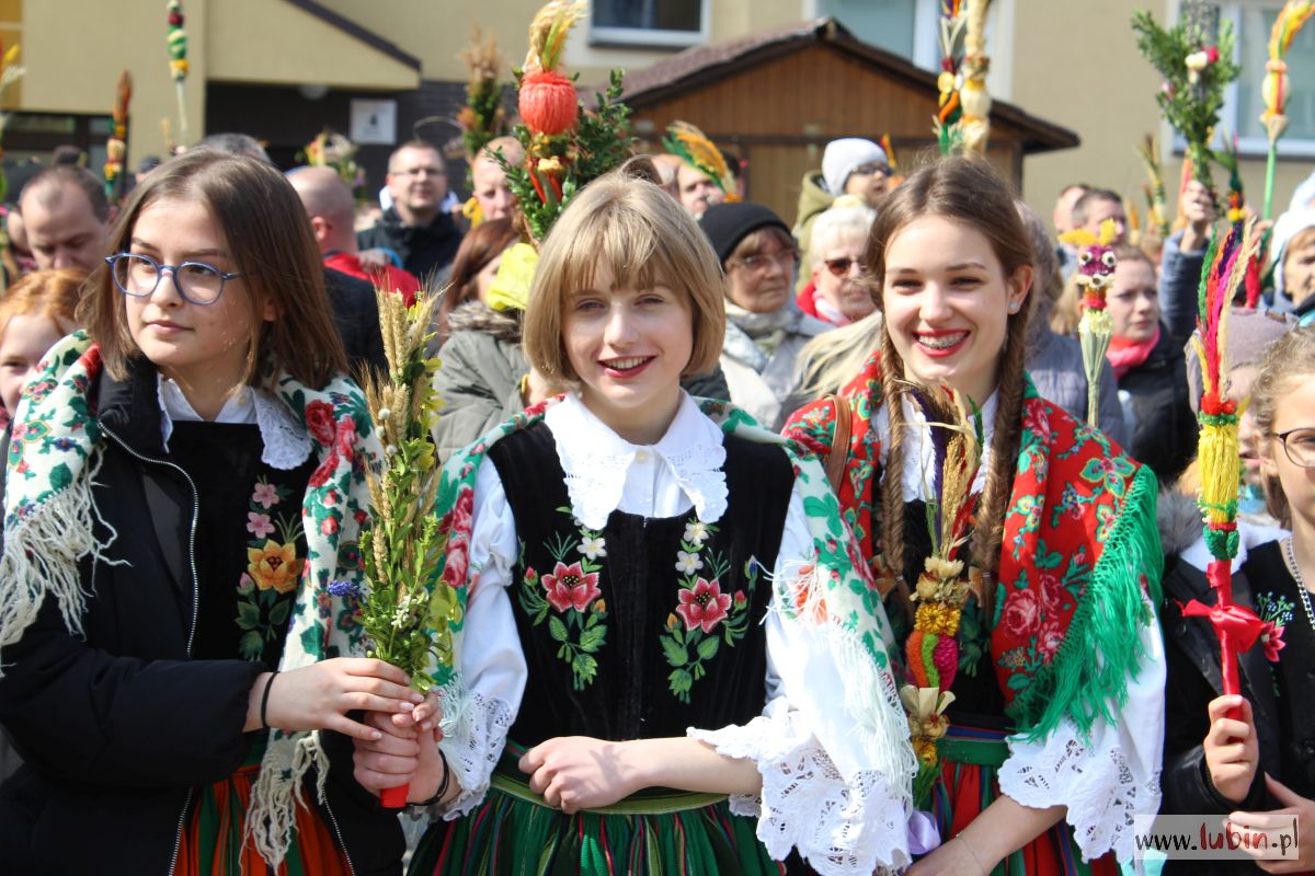 Stwórz najpiękniejszą palmę i wygraj!