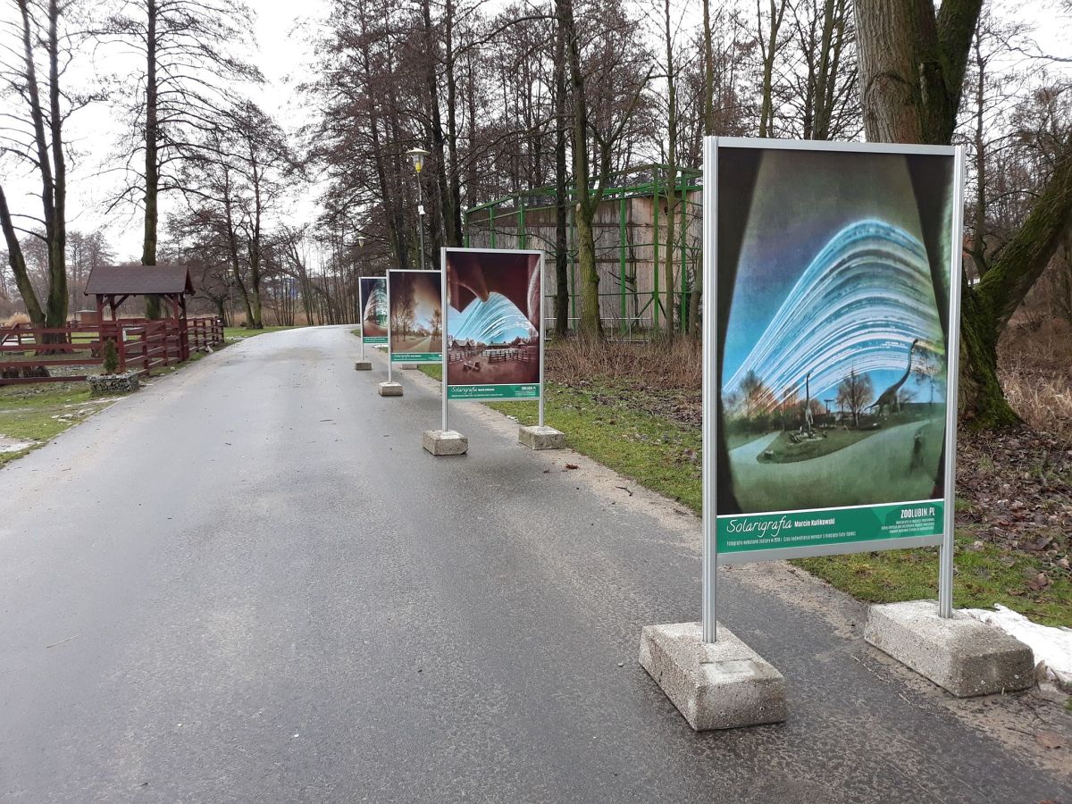 Aparatem otworkowym sfotografował lubińskie zoo