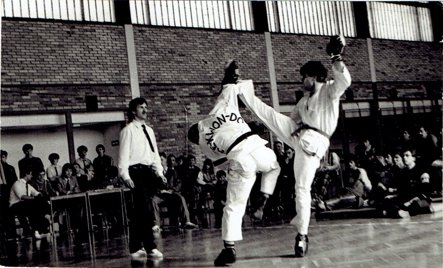 Jubileusz taekwondoków