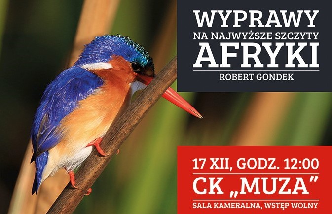 Poznaj najwyższe szczyty Afryki