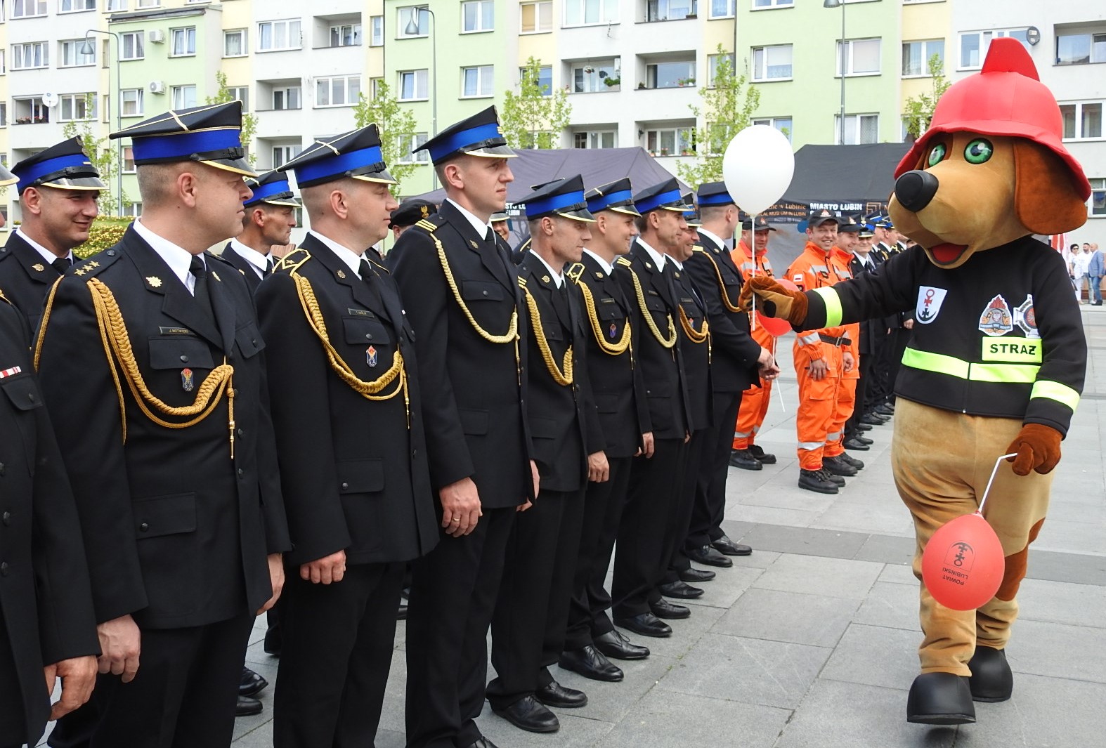 Nowy, wyjątkowy strażak w lubińskiej komendzie