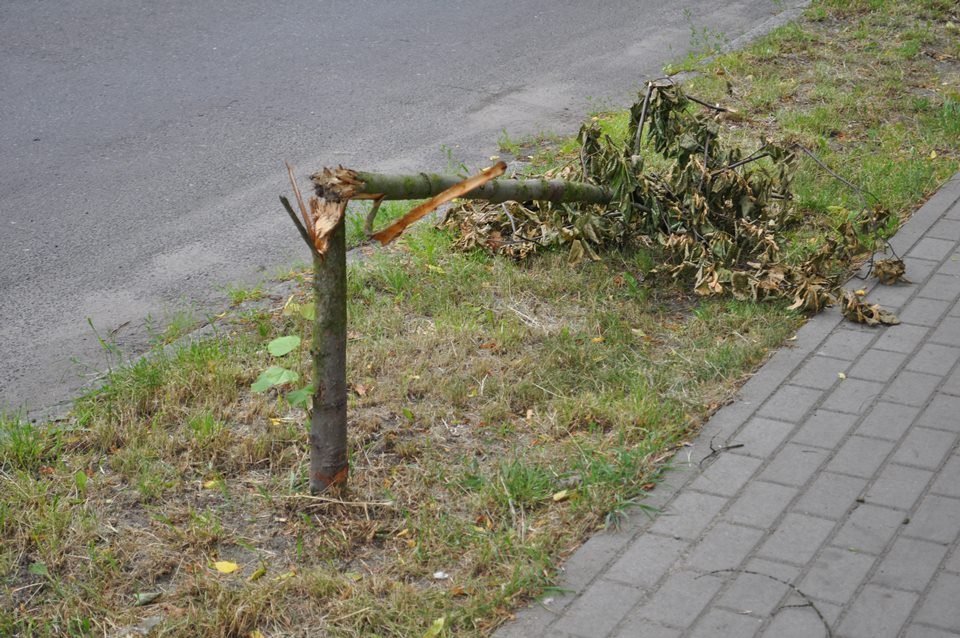 Jedni bronią, inni niszczą