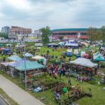 Festiwal Kwiatow i Roslin 2019 (1)
