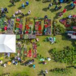 Festiwal Kwiatow i Roslin 2019 (6)