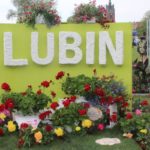 Festiwal Kwiatów, Lubin, 01.05.2019 r (1)