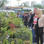 Festiwal Kwiatów, Lubin, 01.05.2019 r (3)