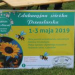 Festiwal Kwiatów, Lubin, 01.05.2019 r (65)