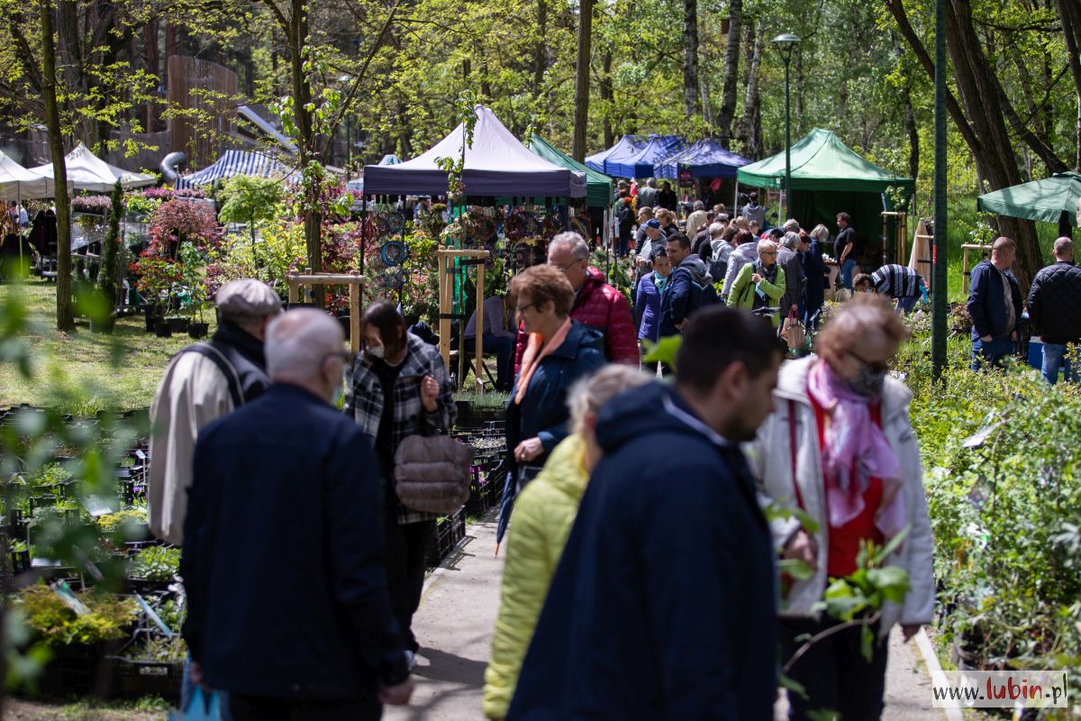 Park Leśny pełen ogrodników – trwa Festiwal Kwiatów i Roślin