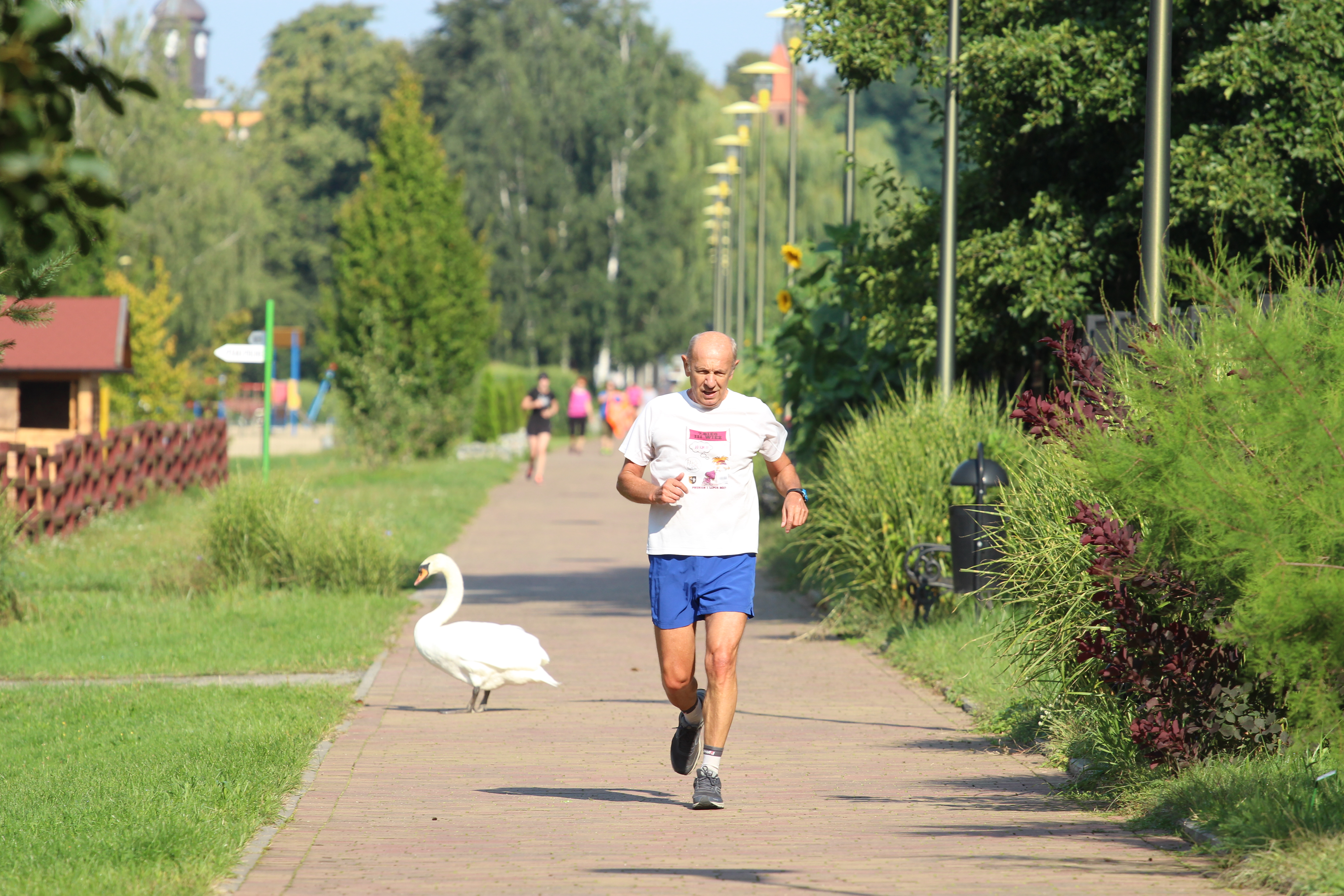 Jubileuszowy i międzynarodowy Parkrun