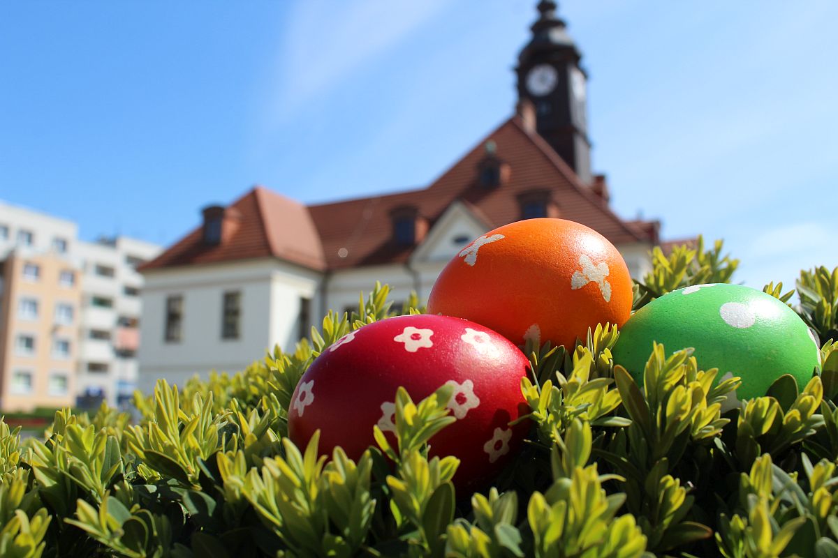 Wesołego Alleluja!