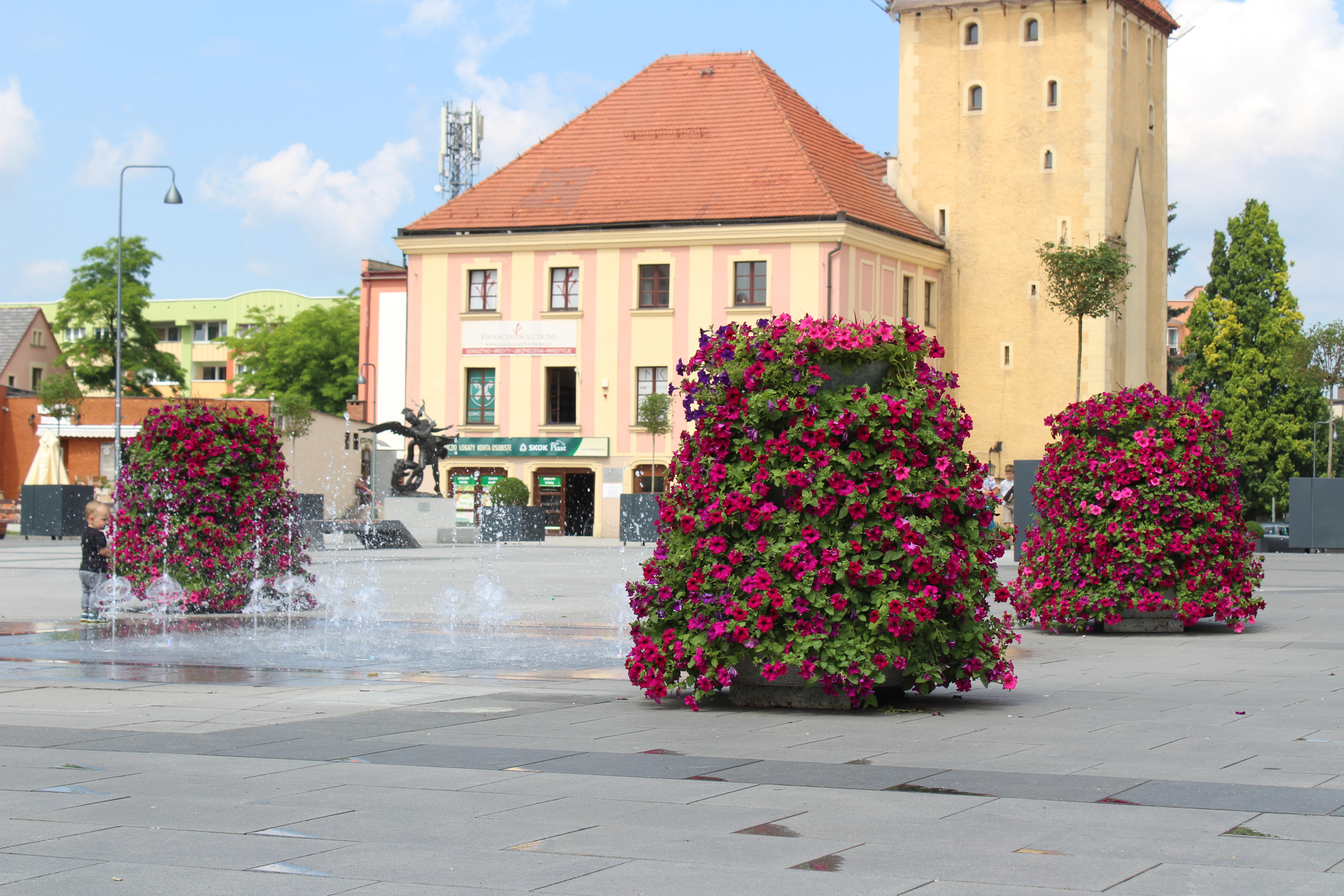 Rynek zdobią nowe kwiaty