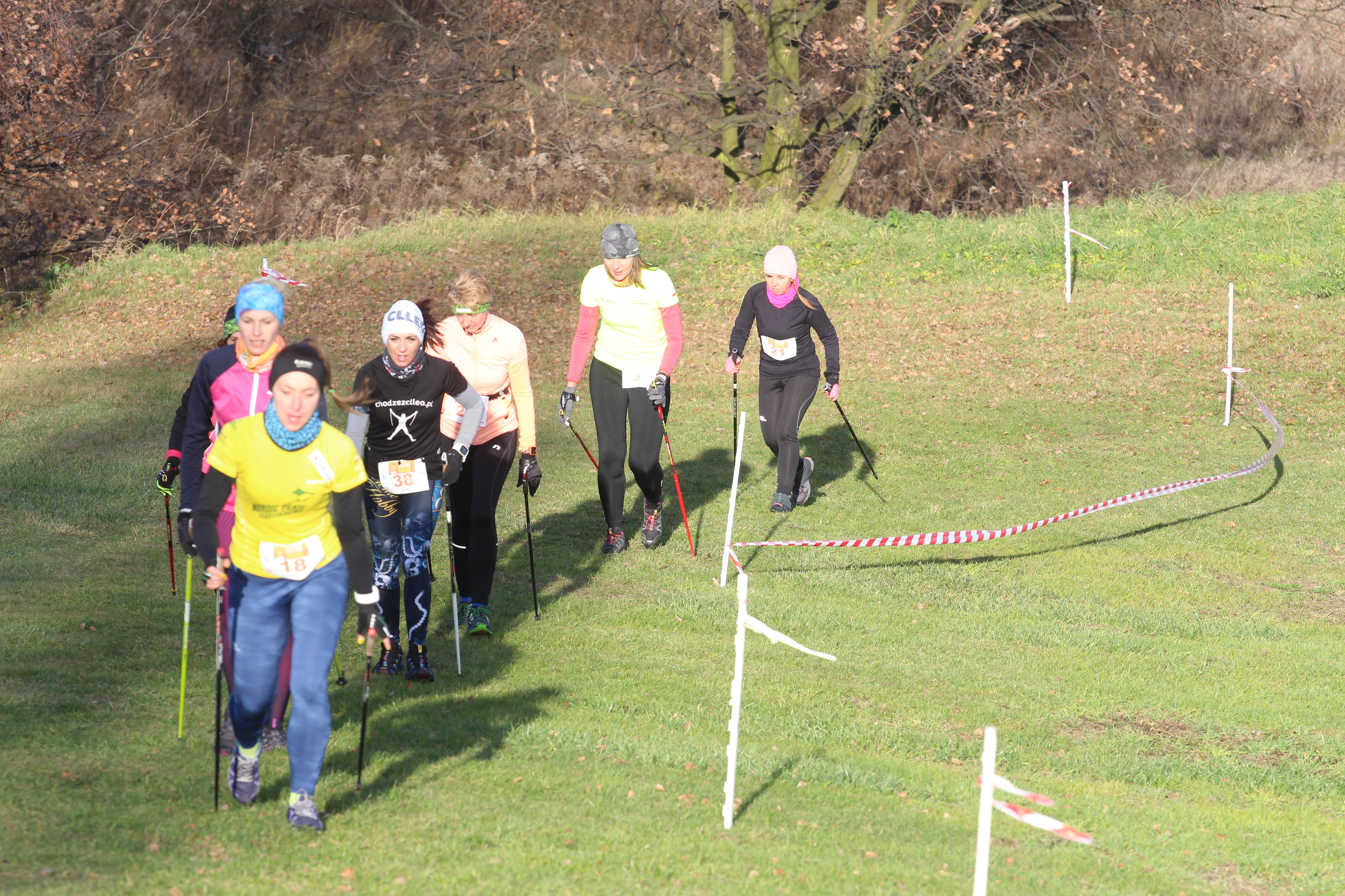 Darmowe zajęcia z nordic walking