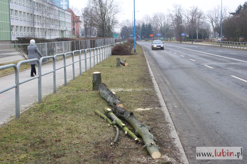 Ruszyły przygotowania do przebudowy Niepodległości