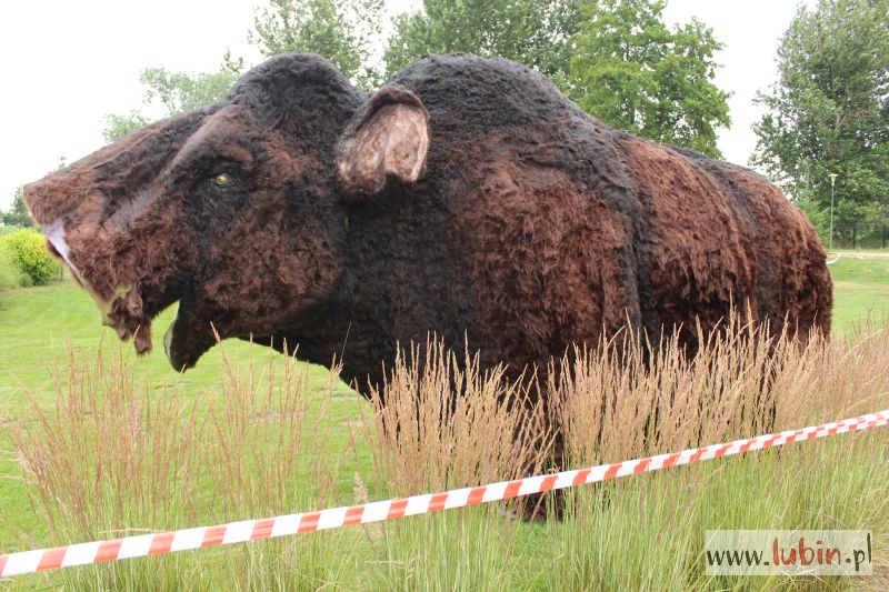 Mamut i jego koledzy już są!