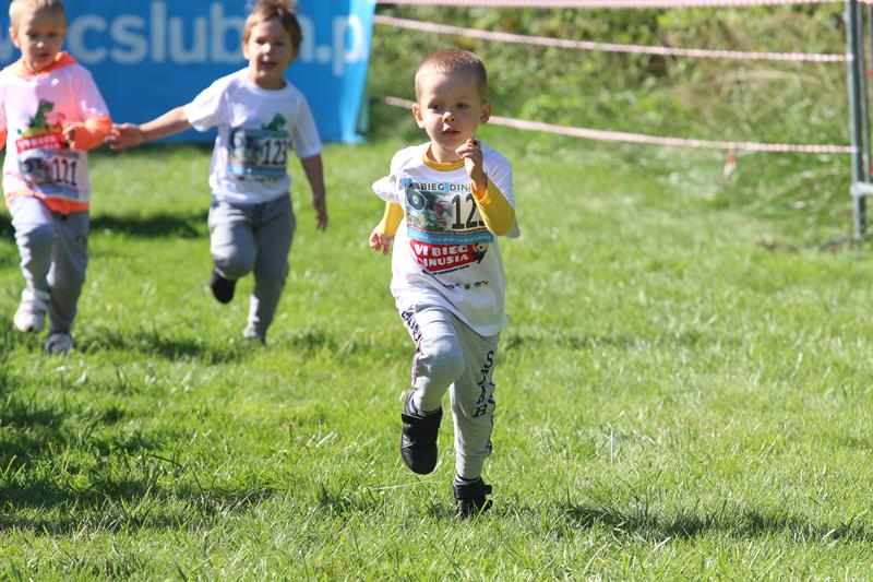 Dinusie pobiegną po raz 7. – ruszyły zapisy