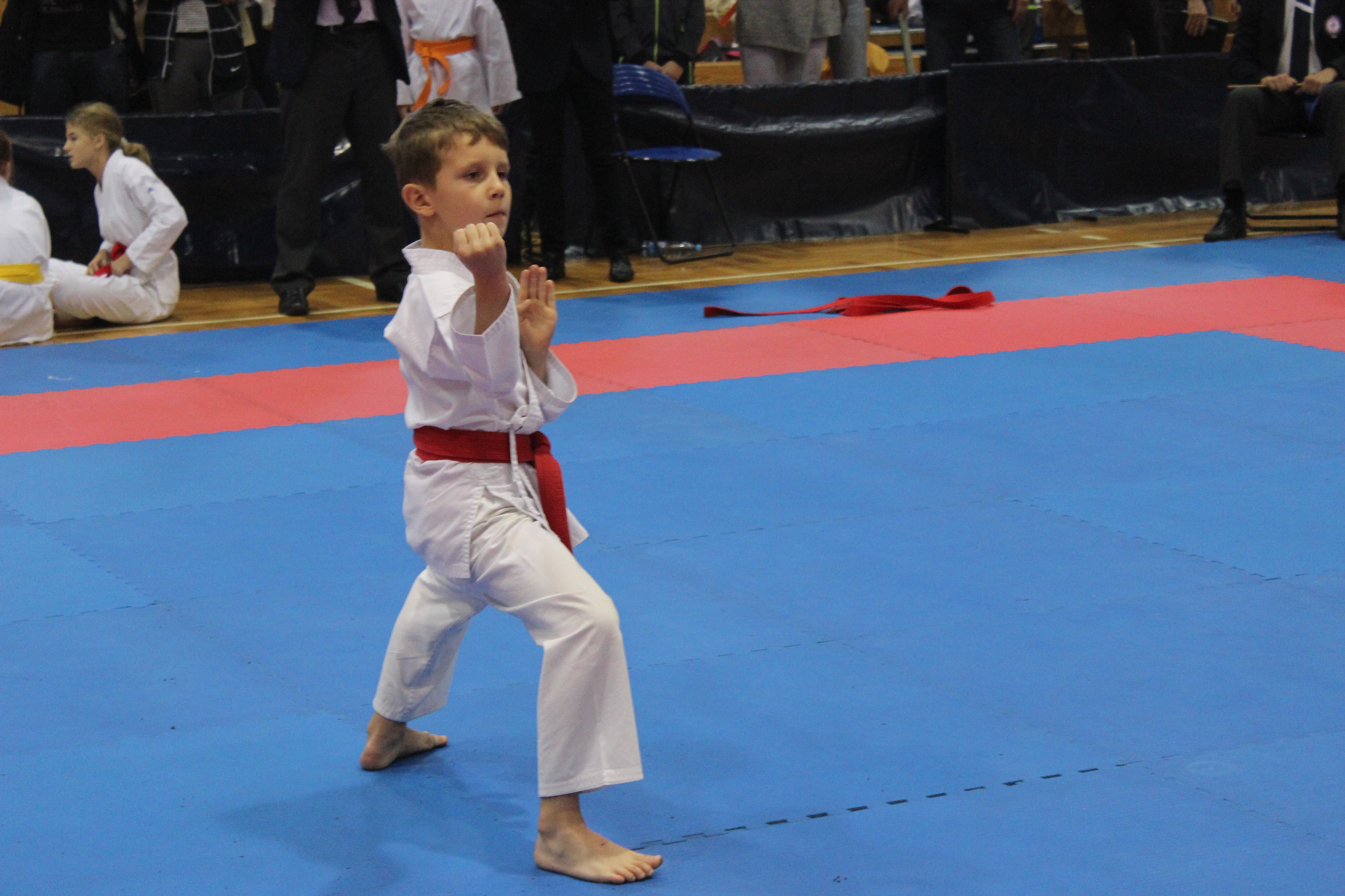 Turniej karate olimpijskiego WKF w Lubinie