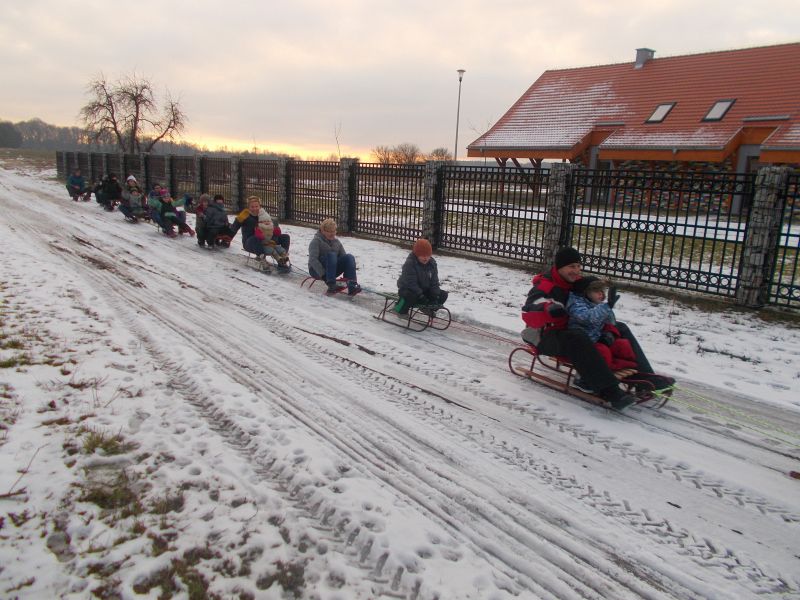 Bawili się na kuligu