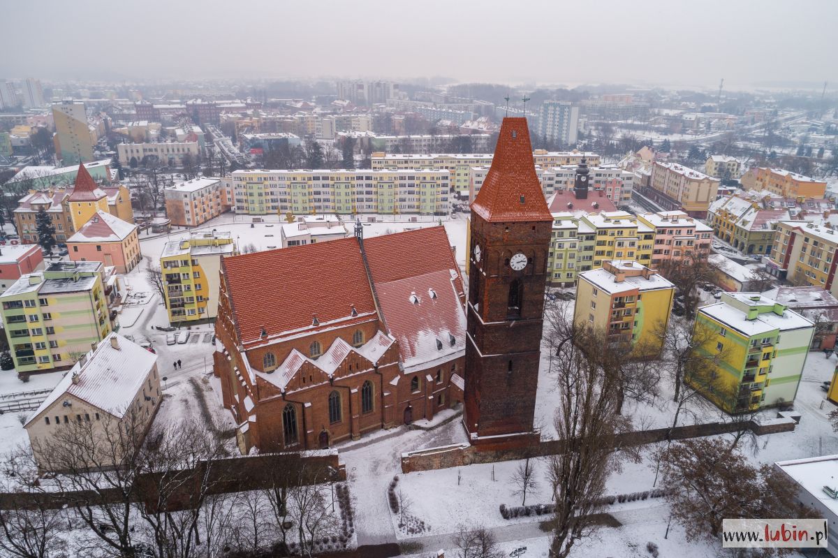 12 rzeczy, które lubinian zainteresowały najbardziej