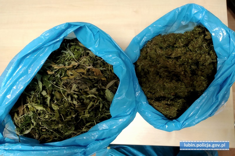6 kilogramów narkotyków przejętych przez policję