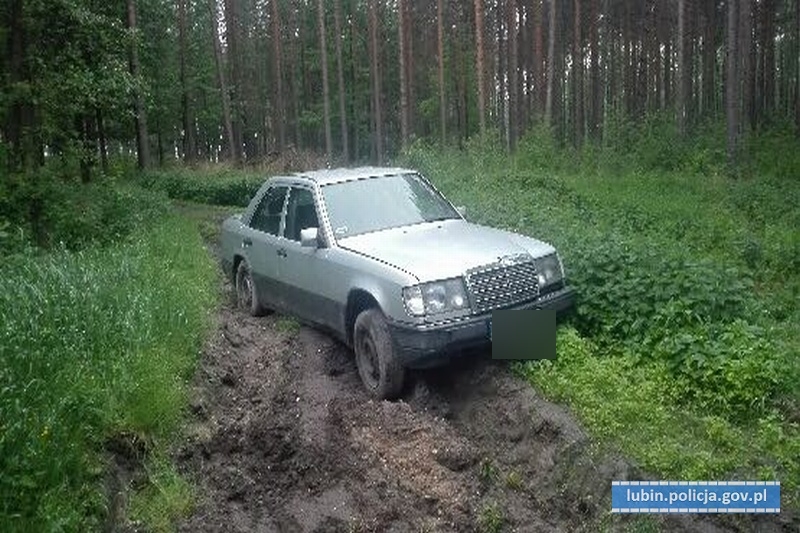 Ukradzione mercedesy znaleźli w lesie