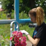 Mogiłę pradziada ocal od zapomnienia (12)
