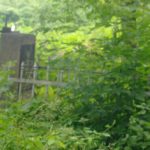 Mogiłę pradziada ocal od zapomnienia (7)